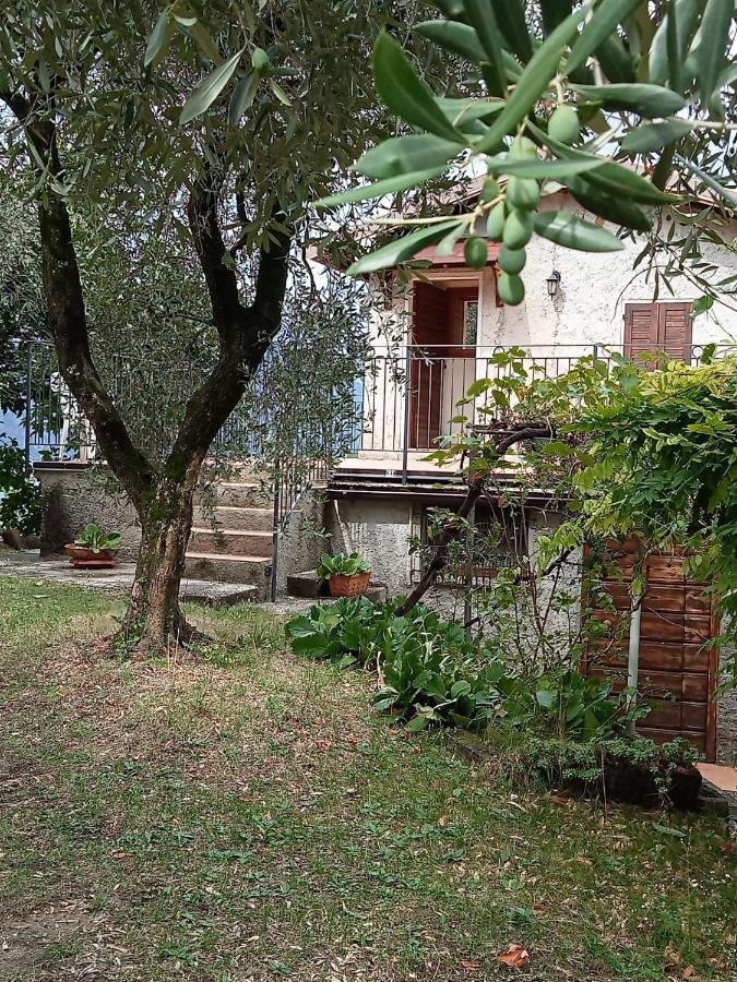 Apartament Olive Grove House Malcesine Zewnętrze zdjęcie