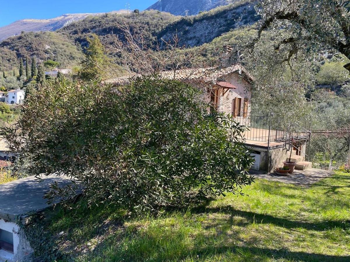 Apartament Olive Grove House Malcesine Zewnętrze zdjęcie