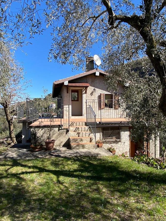 Apartament Olive Grove House Malcesine Zewnętrze zdjęcie