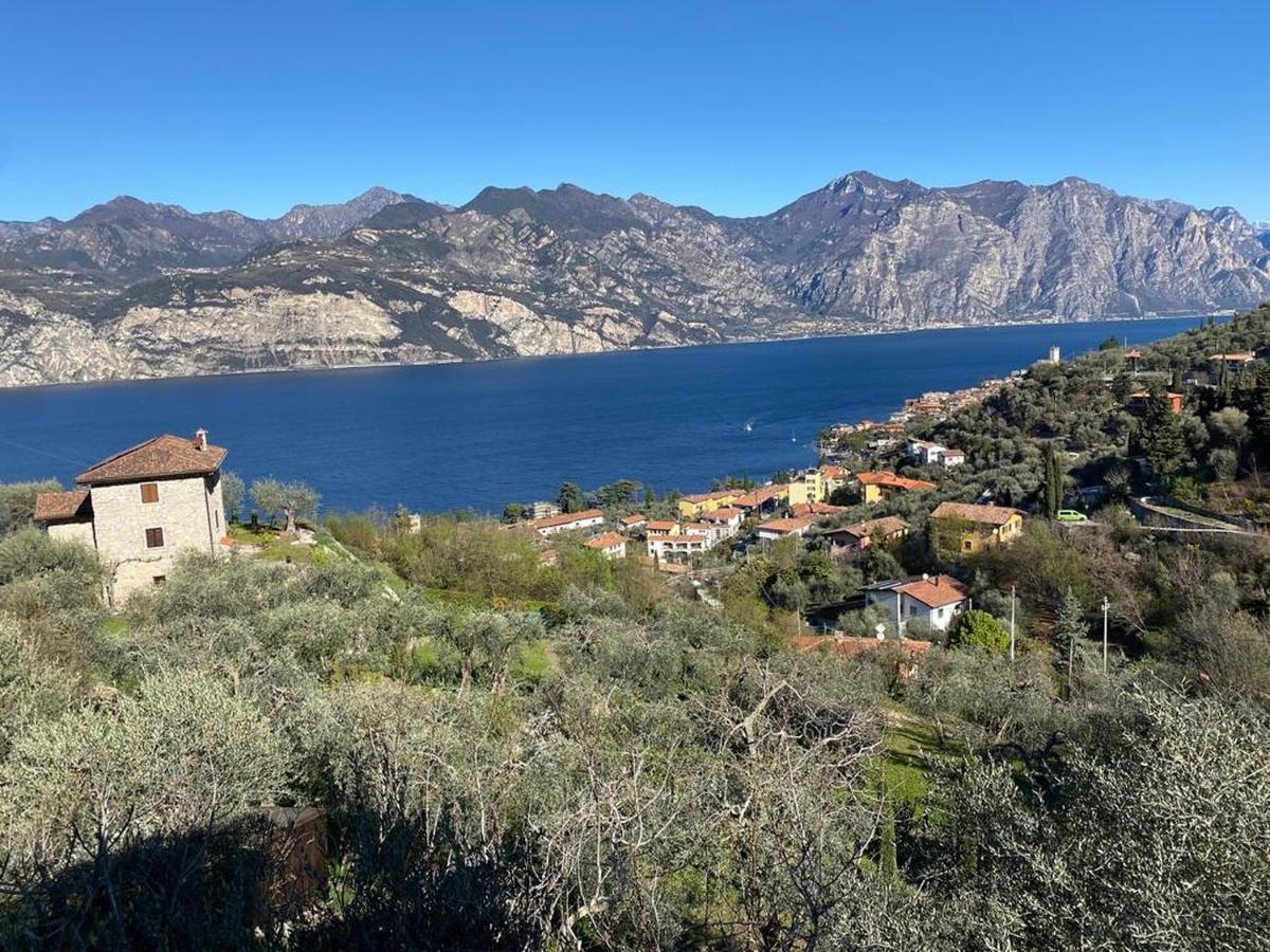 Apartament Olive Grove House Malcesine Zewnętrze zdjęcie