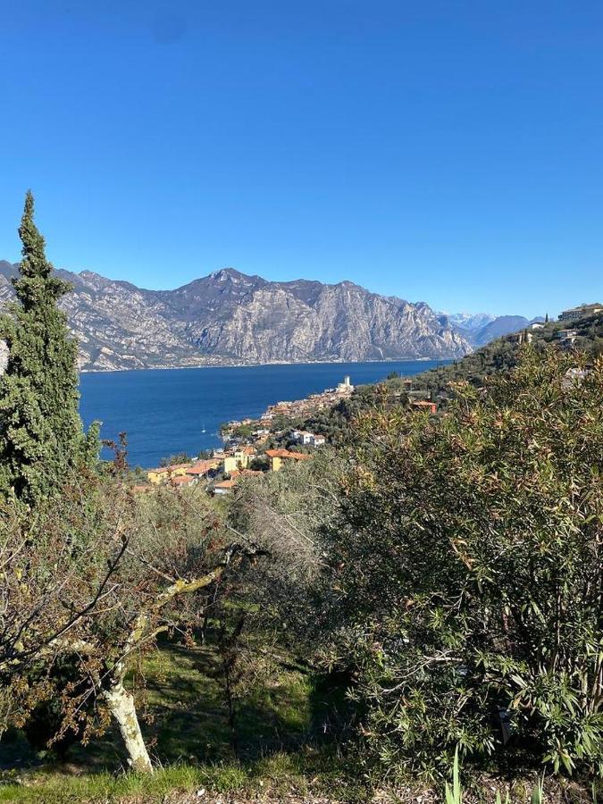 Apartament Olive Grove House Malcesine Zewnętrze zdjęcie